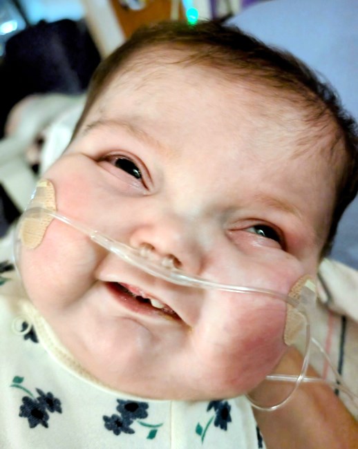 Obituary of Lilith "Lily" Rose Chisolm