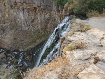 Avis de décès de Mark Olmsted Freeman
