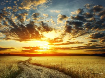 Obituary of Lonnie W Davenport