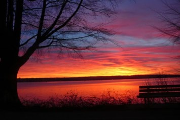 Obituary of Roger William Peterson