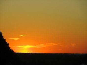 Obituary of Laura Teresa Williams