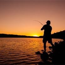 Obituary of Theodore Taylor,