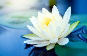 Obituary of Mariam Moskovyan
