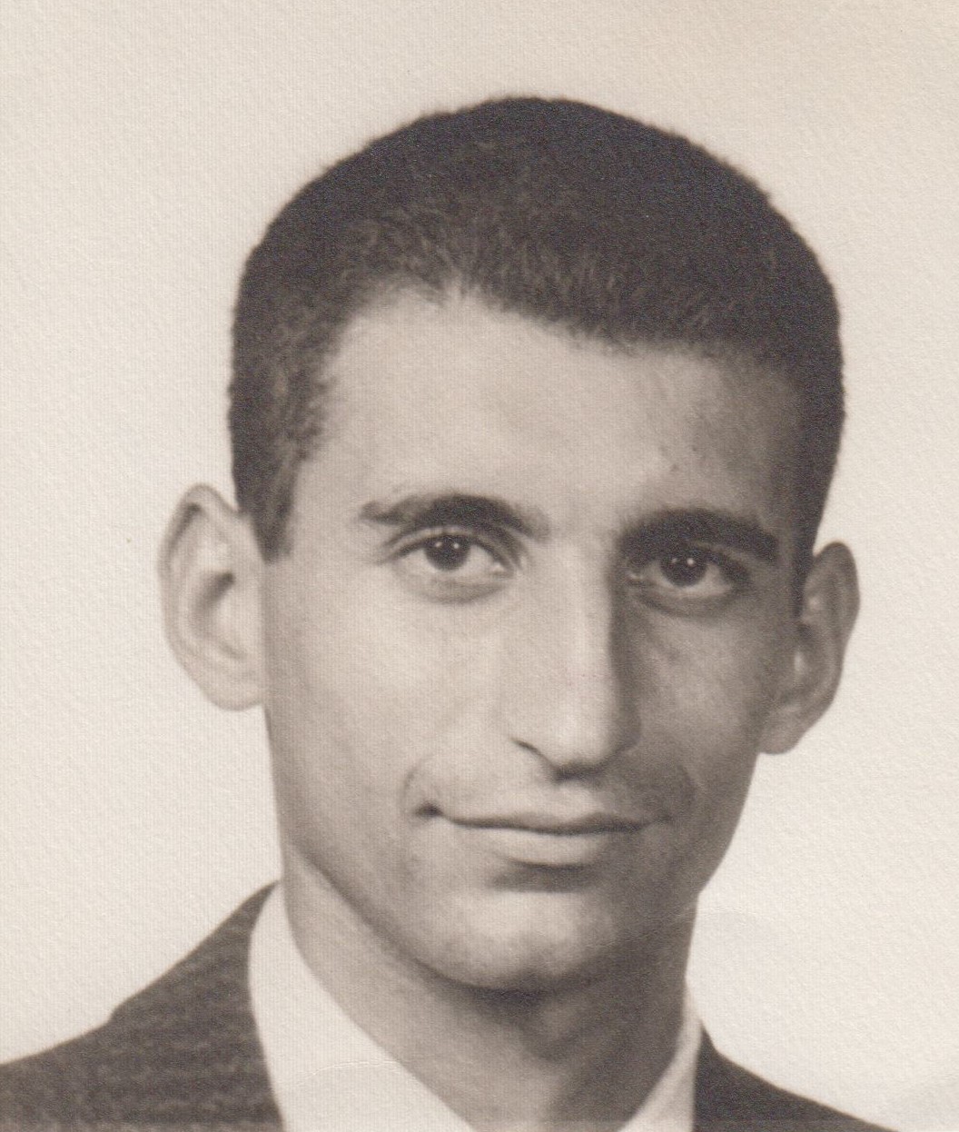 Obituary of Lou Sergi