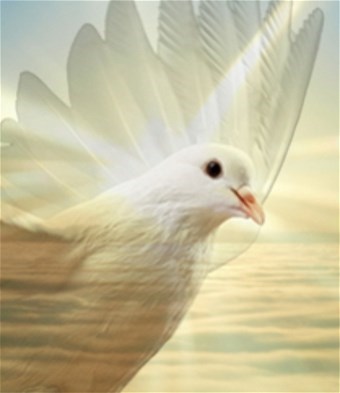 Obituary of Roderick Antonio De Guzman