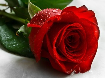 Obituary of Gladys Barfield Mobley