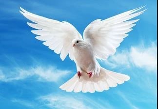 Obituary of Karen Elizabeth Thompson