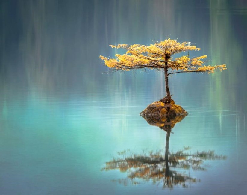 Obituary of Chiu-Tze Chuang