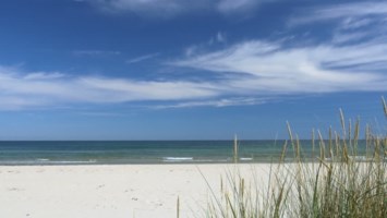 Obituary of Harold Gray Conrad