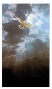 Obituary of Mario Mato