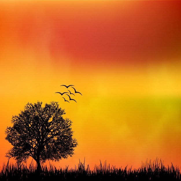 Obituary of Patrick John Sheldon