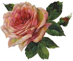 Obituary of Frances Doyle Brown