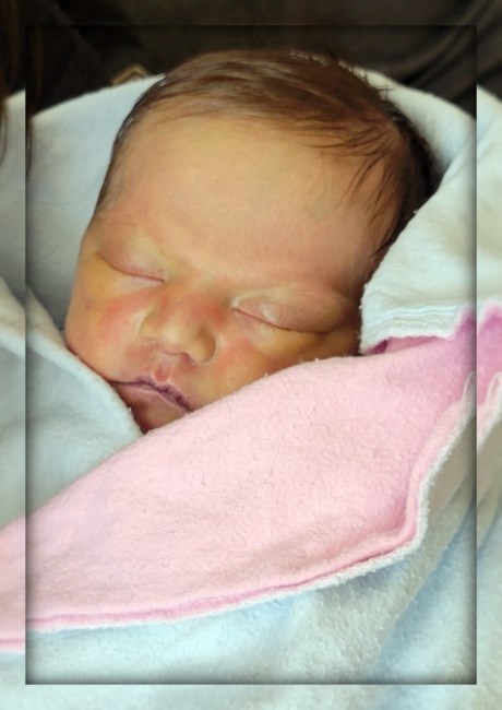 Obituary of Dominic Ottavio D'Orazio