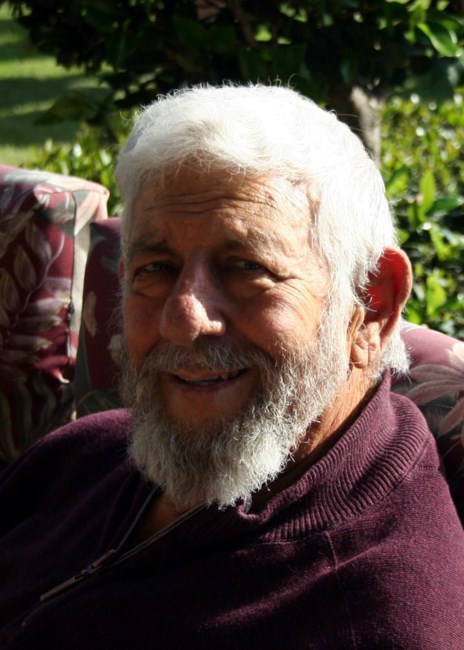 Obituary of Domenic Steve Rizzi