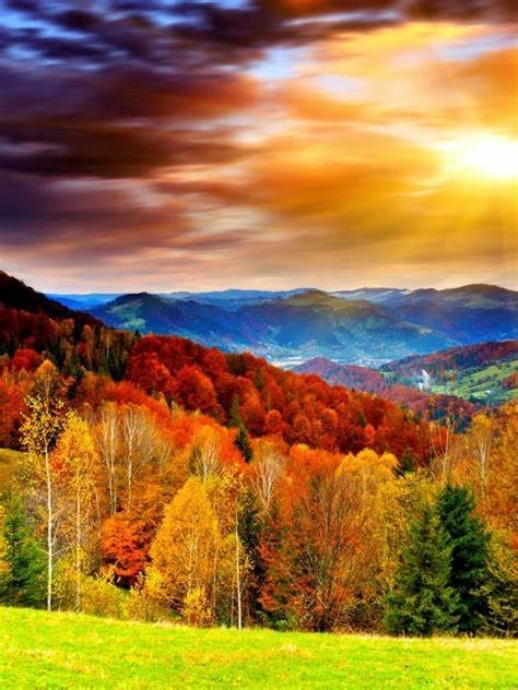 Obituary of Deborah Elaine McGrath