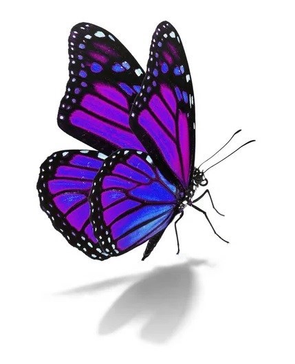 Obituary of Lily Vela