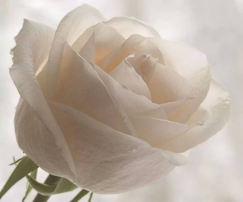 Obituario de Ignacia Haro Gonzalez