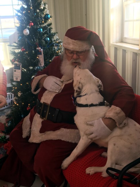 Obituary of William Joseph Dudzienski