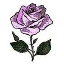 Obituary of Angie Loos Baker