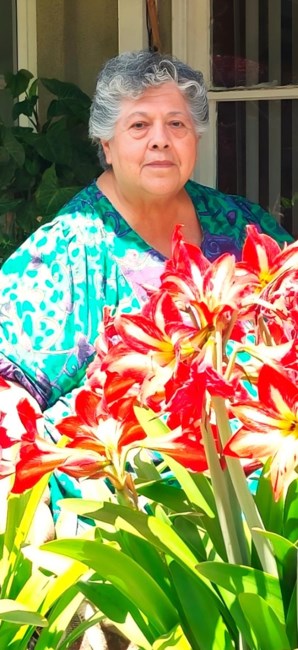 Obituary of Virginia Guzman