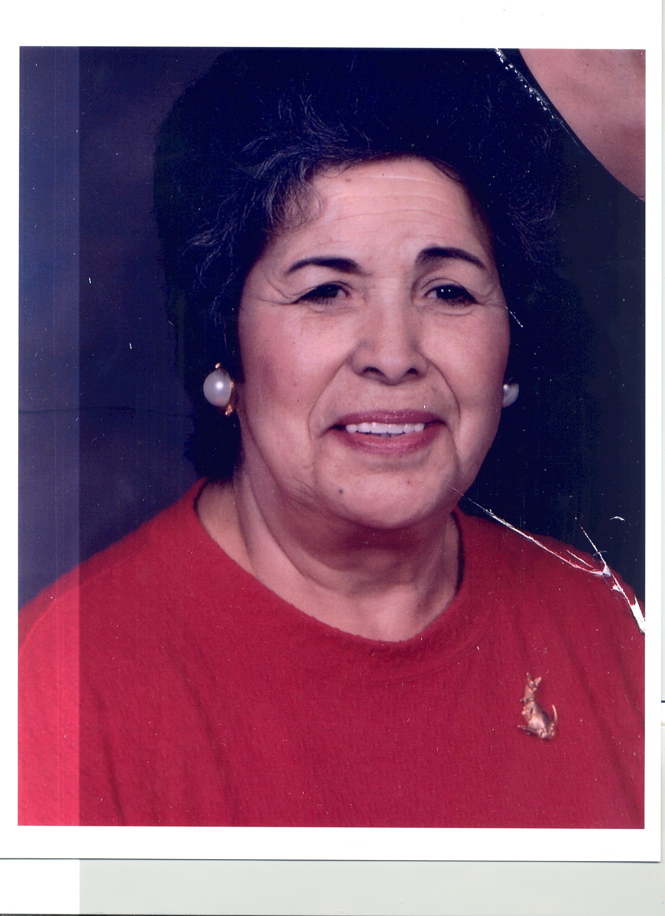 Obituary of Eloisa Viveros Ramirez