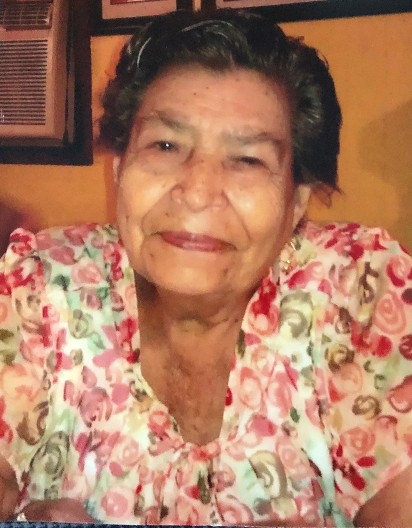 Obituary of Elisa Martinez