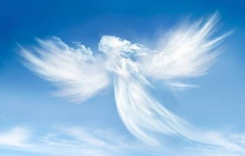 Obituary of Patricia Roxann Townsend