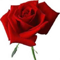 Obituary of Ange Marie Dornevil