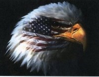 Obituary of Stephen R. Arnold