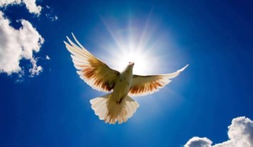 Obituary of Andres Villarreal