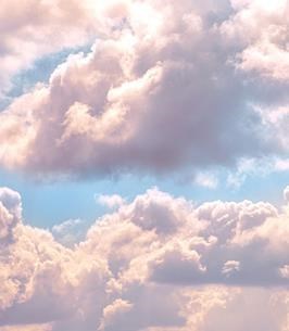 Obituary of Paul W Barney