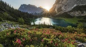 Obituary of Steven Duane Hancock