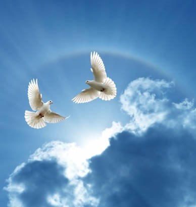 Obituary of Joseph Zehr