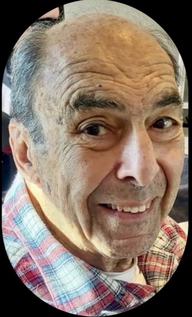 Obituary of Sanford Irwin Roth