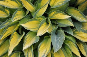 Obituary of Richard Edwin Potter