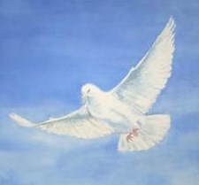 Obituary of Jeanne Vandenbergh Woodall