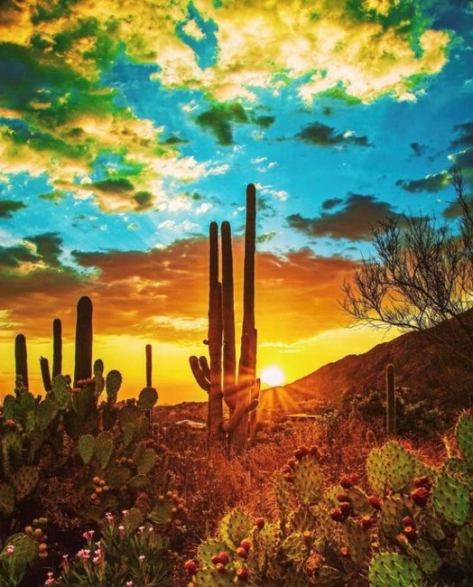 Obituary of Cesar Machado