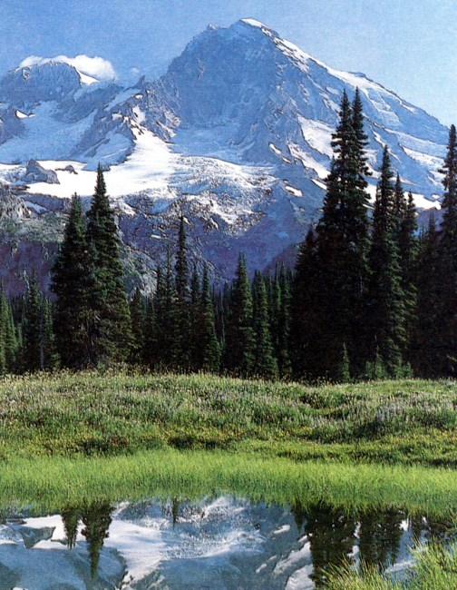 Obituary of Perry Paul Martinez