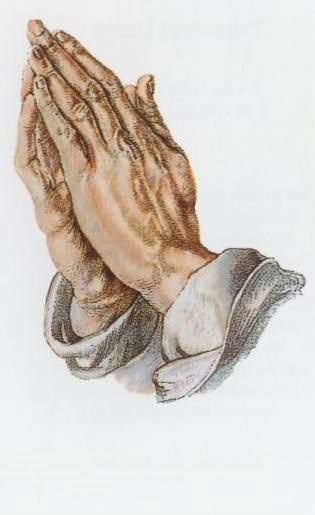 Obituary of Maria Luisa Andino