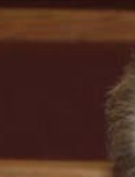 Bobby Kenneth Eversole Obituary Kingwood TX bobby-kenneth-eversole-obituary-kingwood-tx