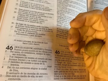 Obituary of Amparo Cancino