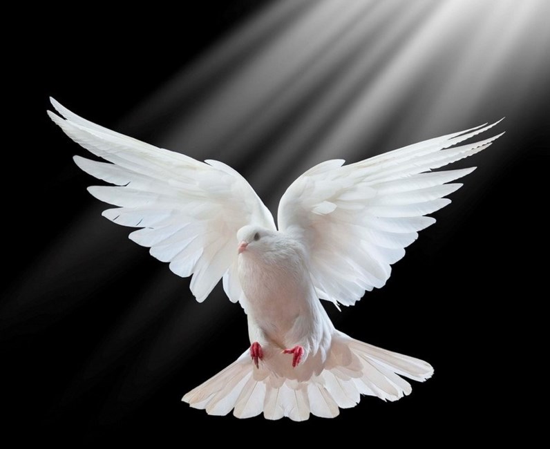 Obituary of Arturo P Hernandez