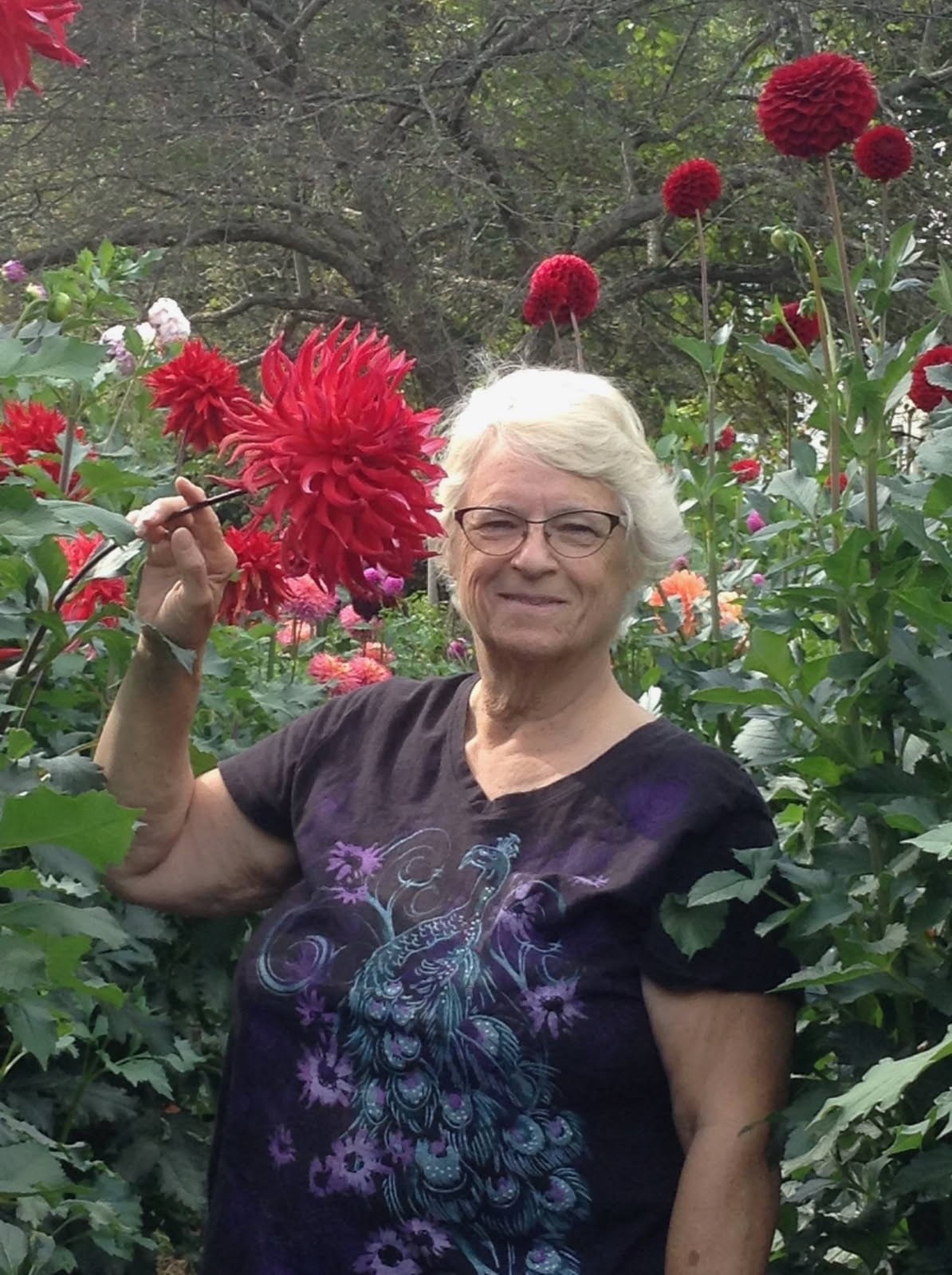 Obituary of Joyce Ann Allen