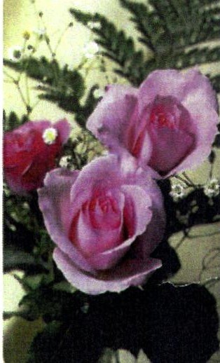 Obituary of Janice L. Sowinski