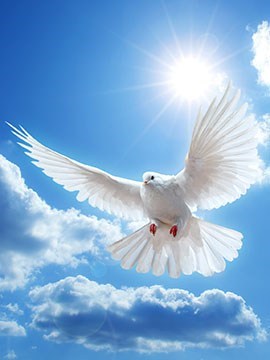 Obituario de Paul Christopher Piscitello