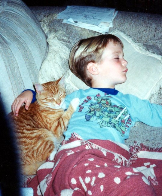 Kevin O Brien Obituary Westwood Nj