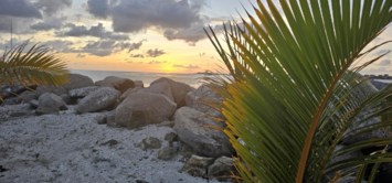 Obituary of Betty Ann Dawson