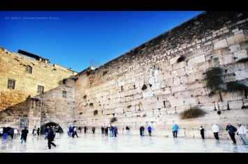 Obituary of Ralph Tawil