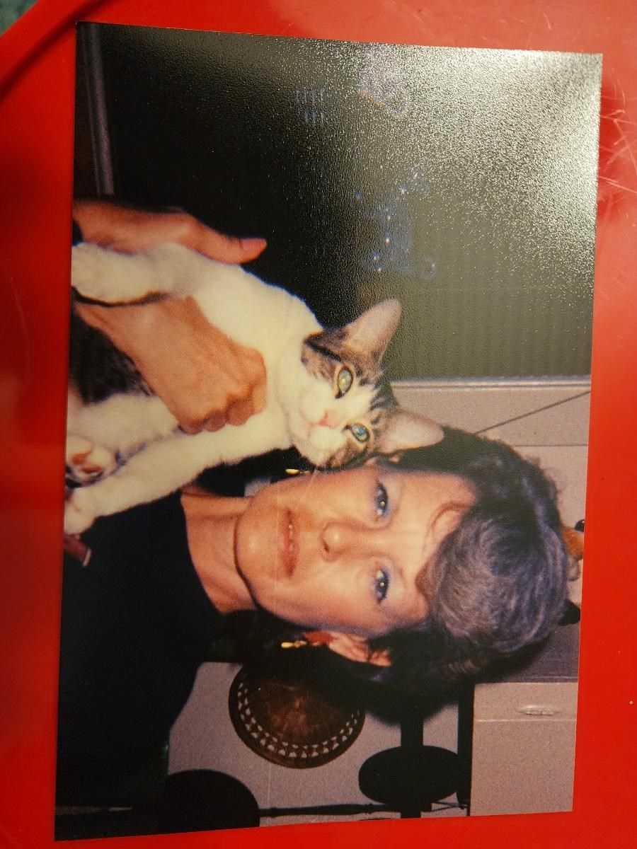 Obituary of Susan Dianne (Beckham ) Sims