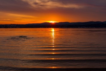 Obituary of Madeline Curtin